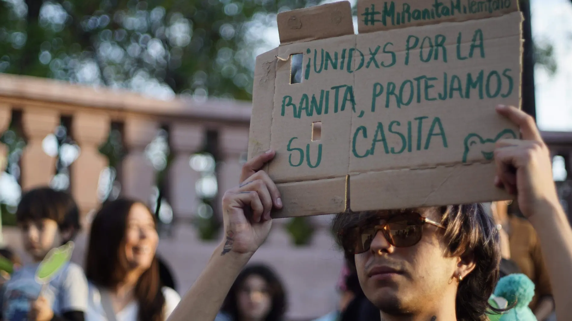 MANIFESTACIÓN (9)